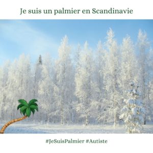 Un palmier dessiné devant une photo de forêt enneigée, avec les textes "je suis un palmier en Scandinavie", "Je suis palmier" "autiste"