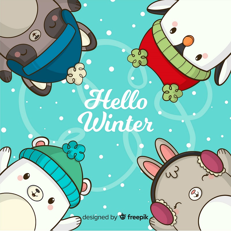 Un lapin, un ours, un raton laveur et un penguin qui disent "Hello Winter"