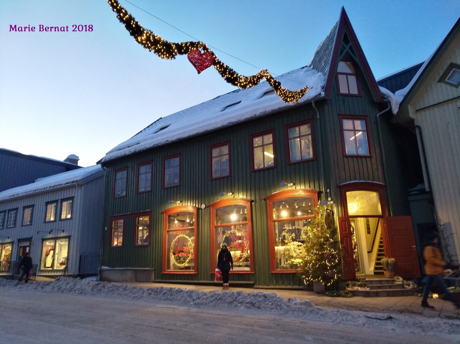 Jolie maison verte avec des vitrines décorées et un sapin illuminé.